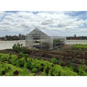 Rooftop Greenhouses